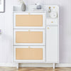 Chic Rattan Shoe & Storage Cabinet