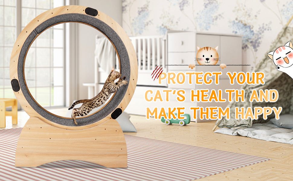 Kitty Fitness Wheel: Fun Treadmill for Active Cats!