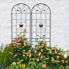 Garden Glory: Rustproof Climbing Plant Trellis Set