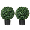 Charming Boxwood Topiary Duo for Indoor/Outdoor Decor