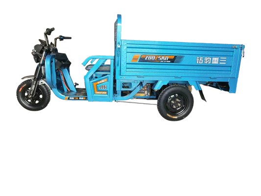 Pioneer Electric Trike