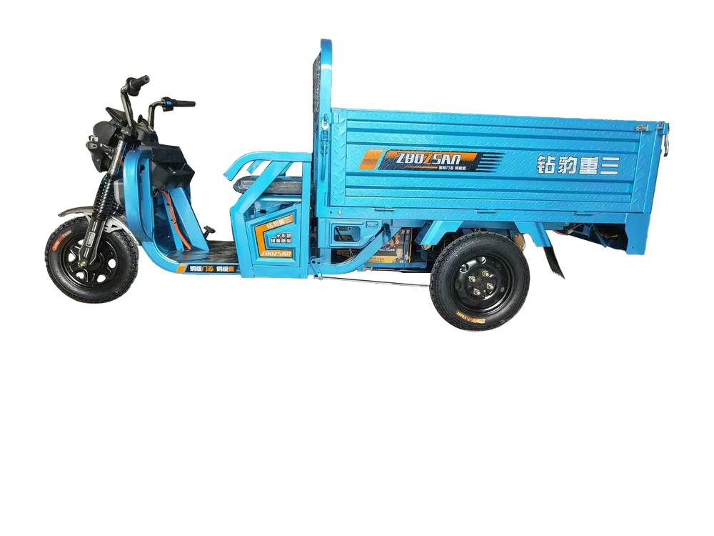 Pioneer Electric Trike