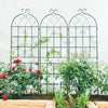 Climb & Shine Trellis Set