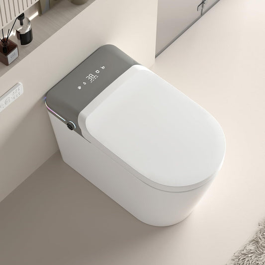 The Luxe Smart Bidet Toilet