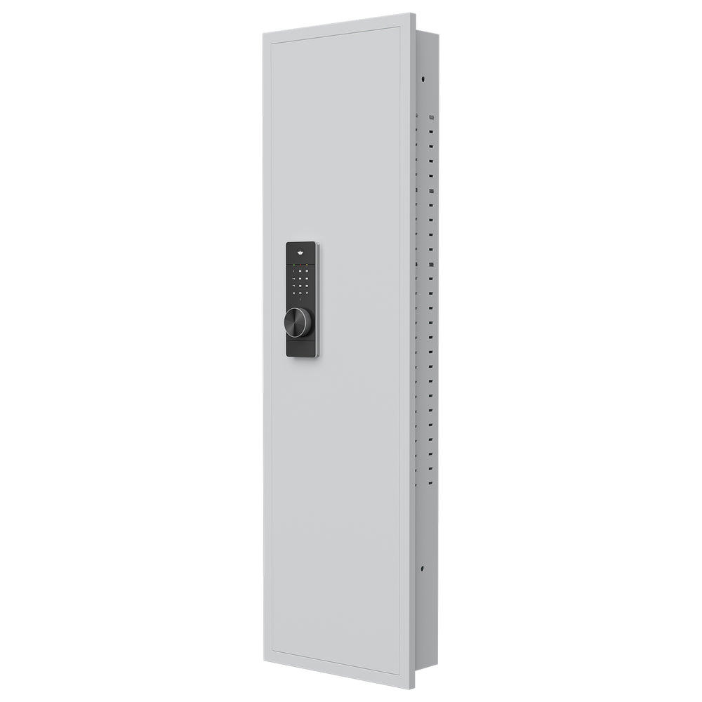 SecureView Hidden Wall Safe