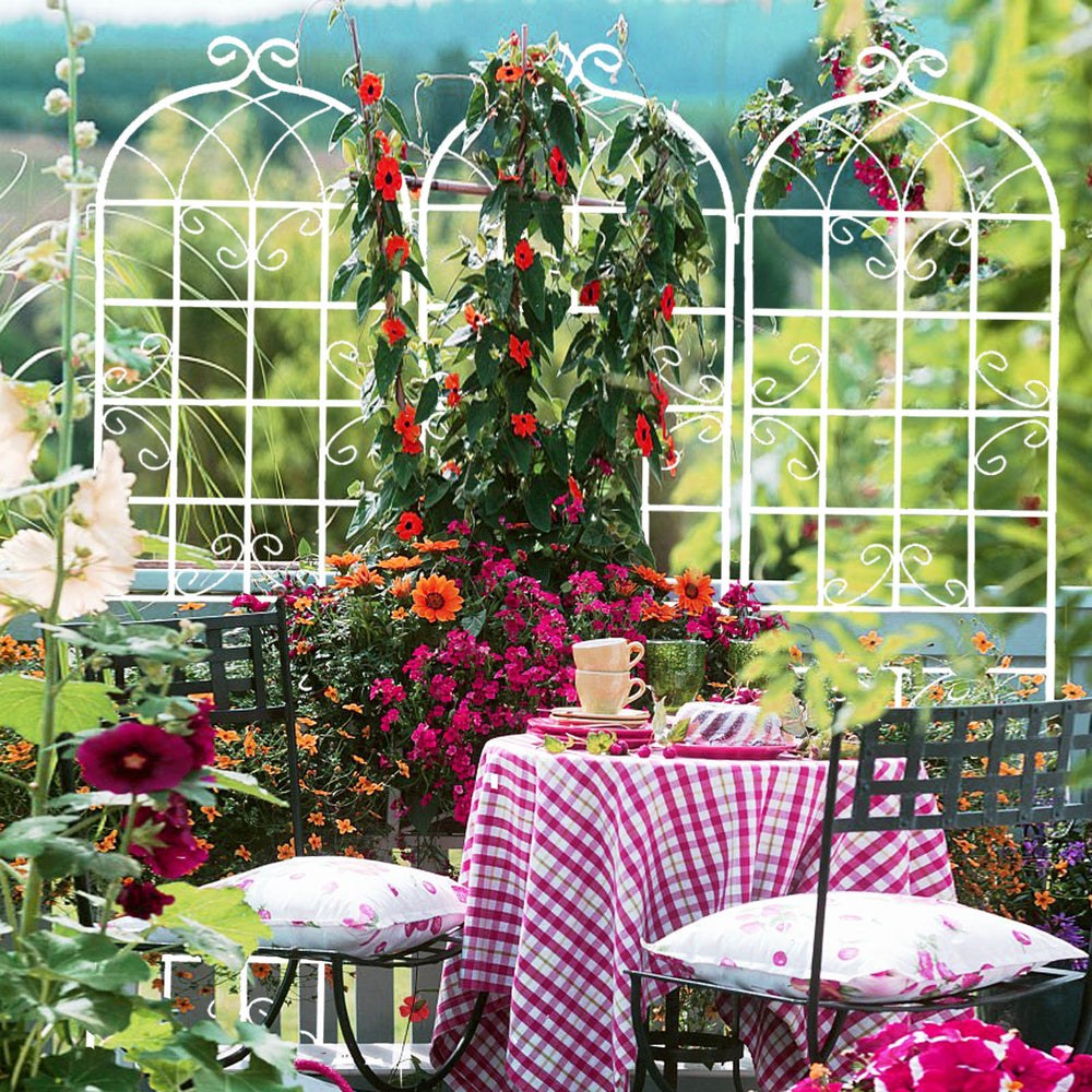 Garden Climber Trellis Set