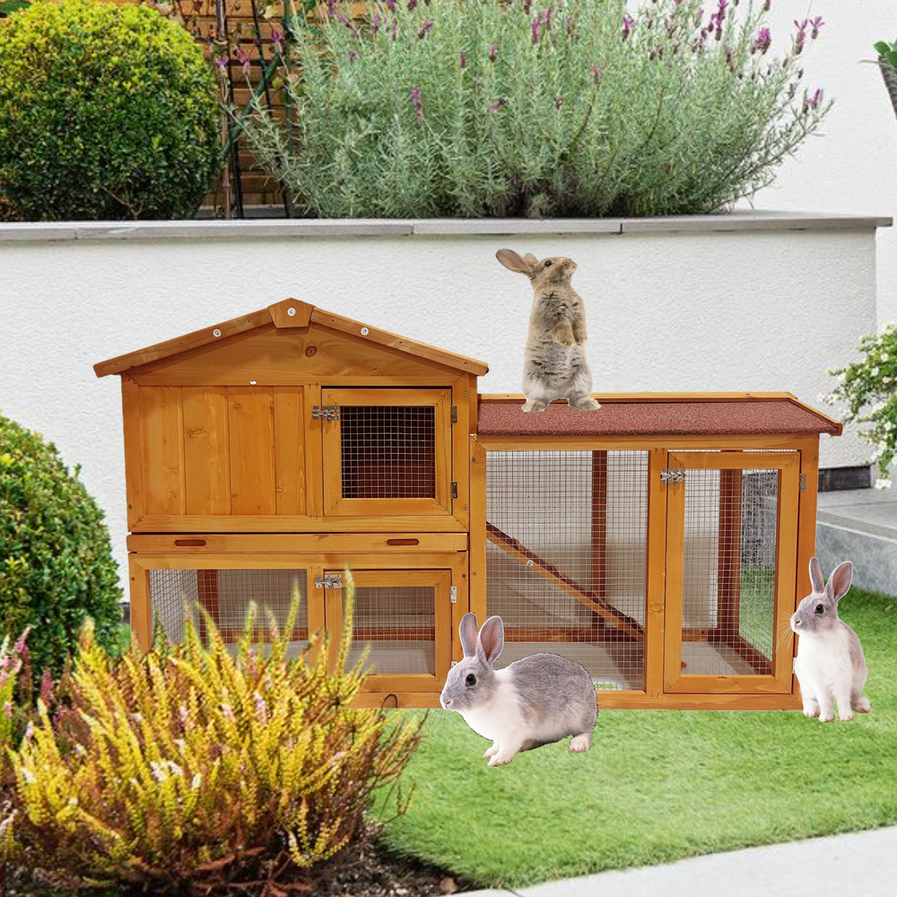 Playground Chicken Coop Adventure