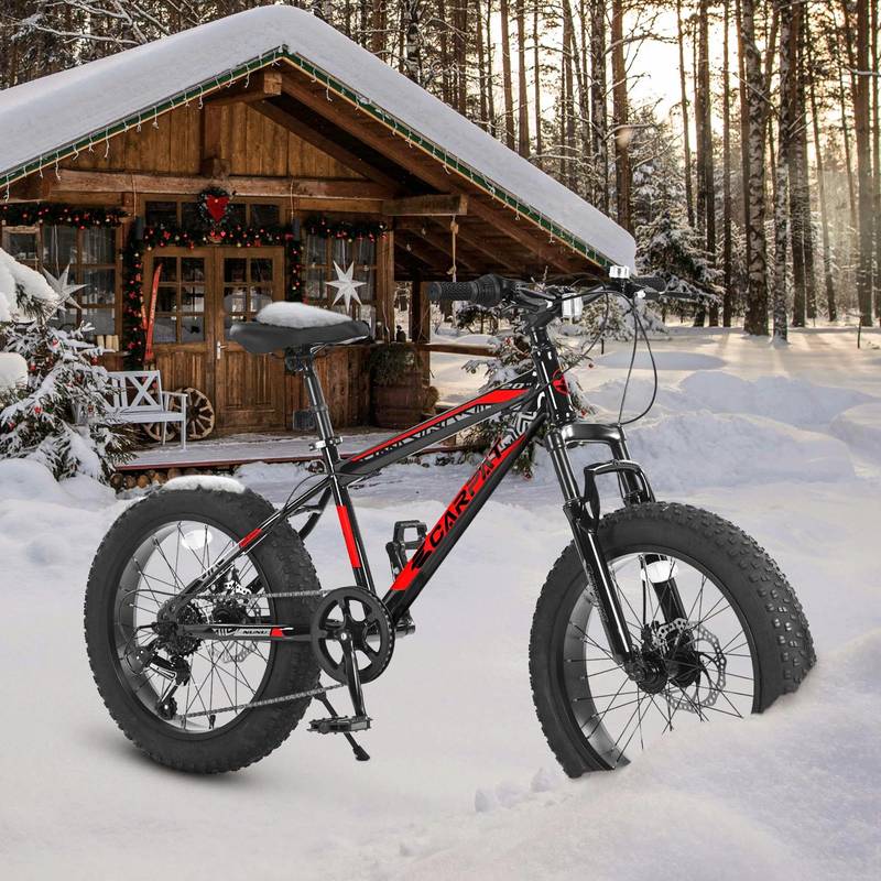 Snow Rider Fat Tire Bike for Kids
