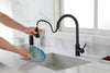 Versatile Pull-Out Kitchen Faucet