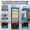 Chilly Display Freezer with Swing Doors and LED Lighting