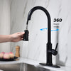 Pull-Out Kitchen Faucet