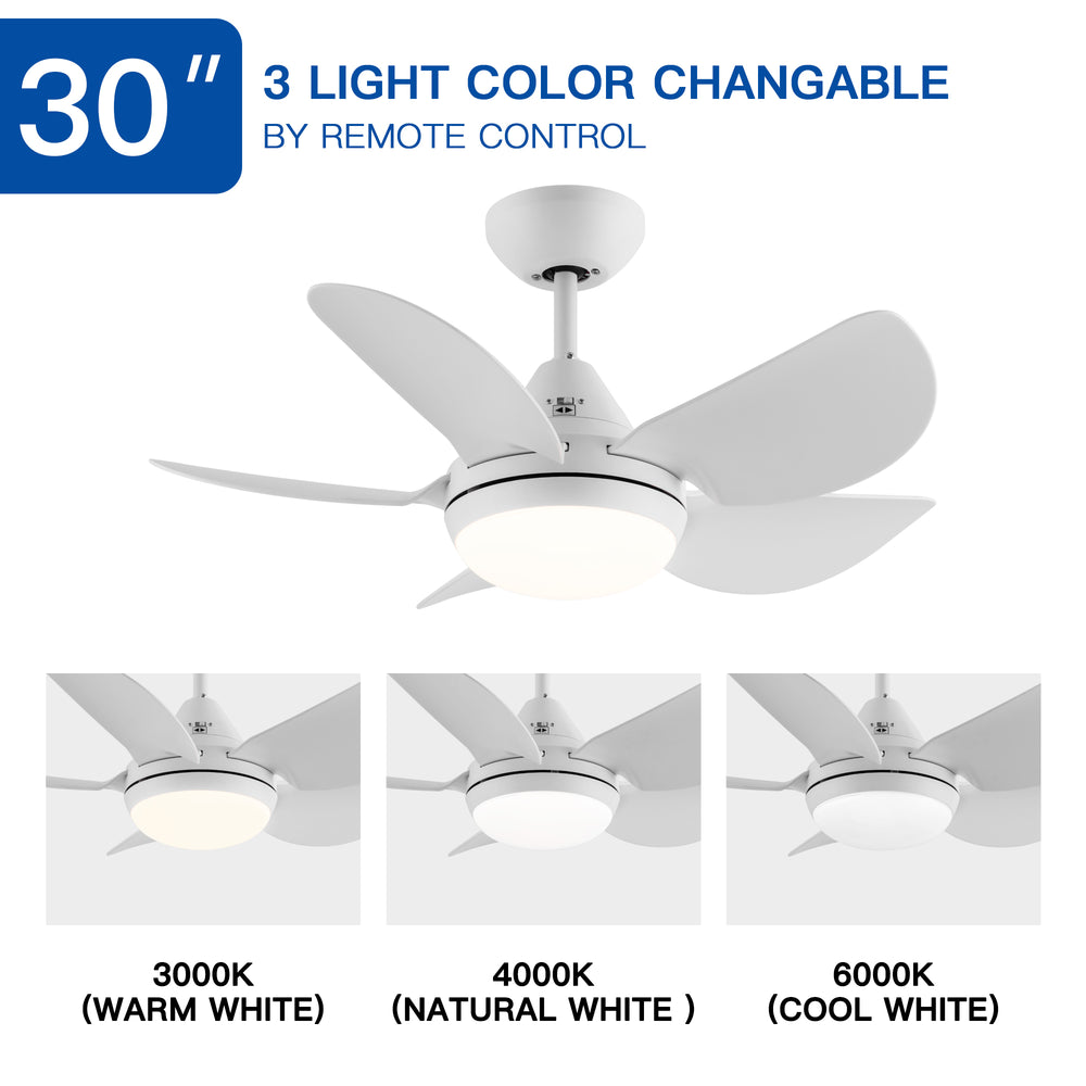 Bright Breeze Ceiling Fan with LED Light