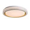 BrightChoice Dimmable LED Ceiling Light - Modern Flush Mount Fixture