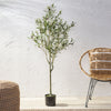 Lifelike Olive Tree – Perfect Indoor Decor!