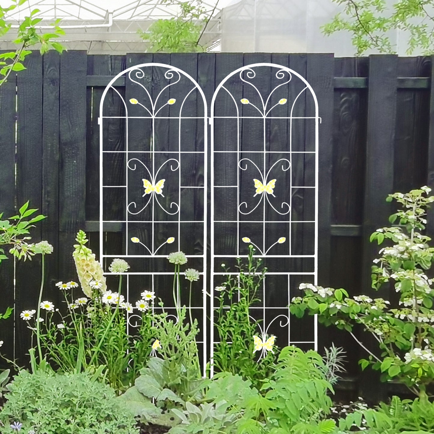 Garden Grace: Rustproof Trellis Duo for Climbing Blooms