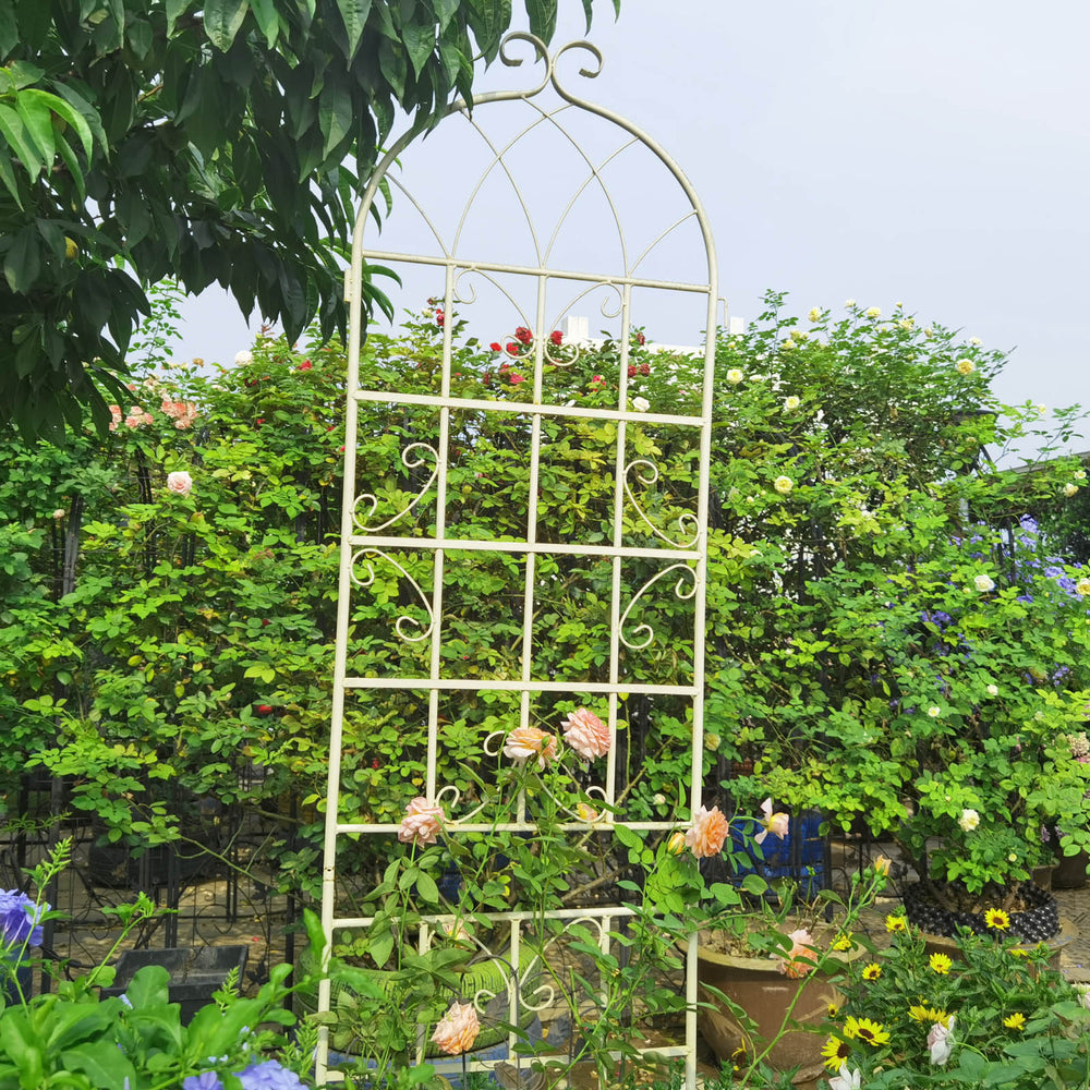 Garden Climber Trellis Set