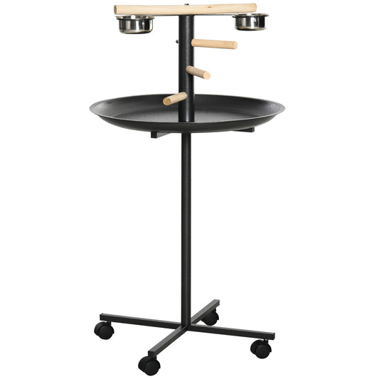 Birdie Play & Feed Stand