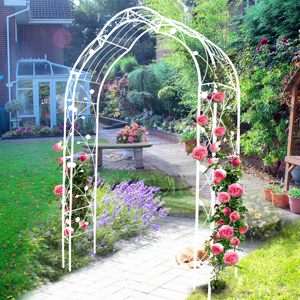 Charming Garden Arch for Climbing Plants & Celebrations