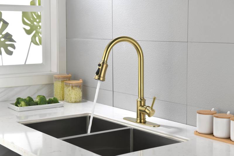 Effortless Elegance Kitchen Faucet with Pull-Down Sprayer