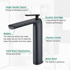 Sleek Matte Black Bathroom Faucet