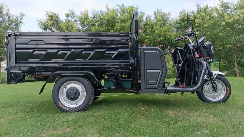 E-Z Ride Electric Trike