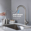 Spruce Touch Kitchen Faucet