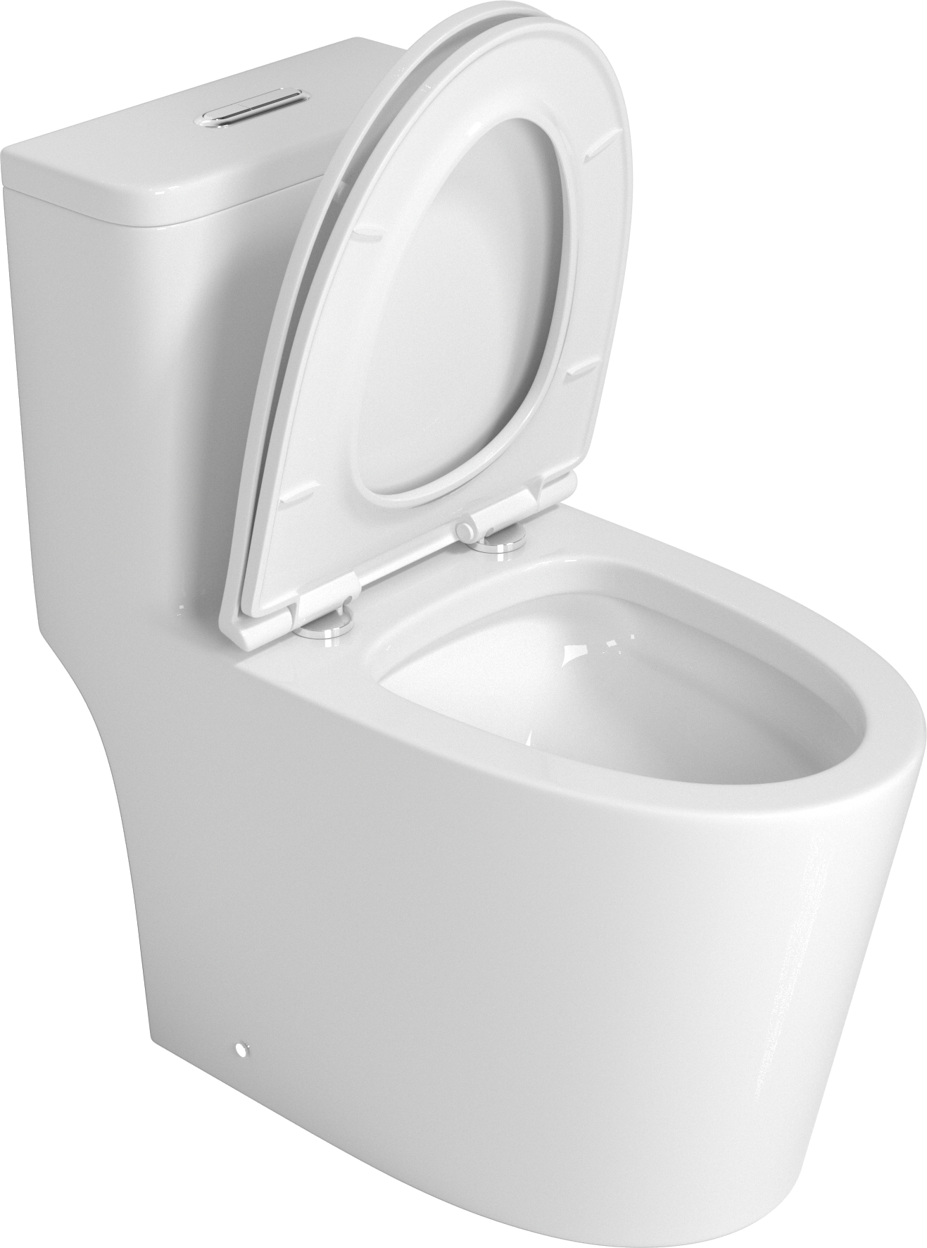 Premium One-Piece Toilet with Top Accessories