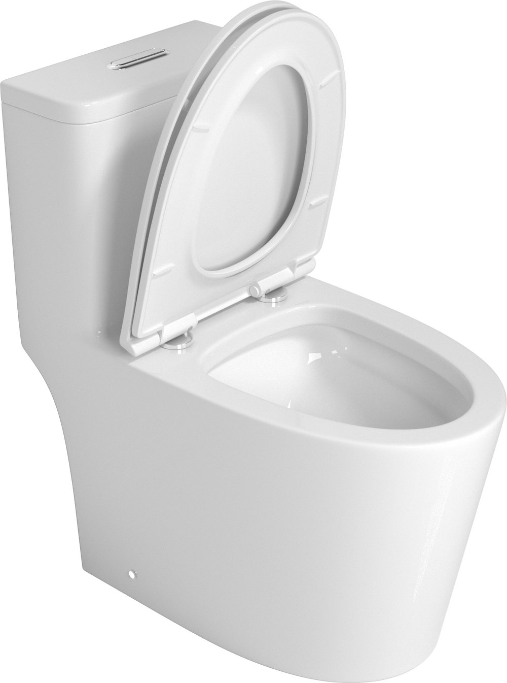 Premium One-Piece Toilet with Top Accessories