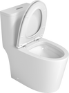 Premium One-Piece Toilet with Top Accessories