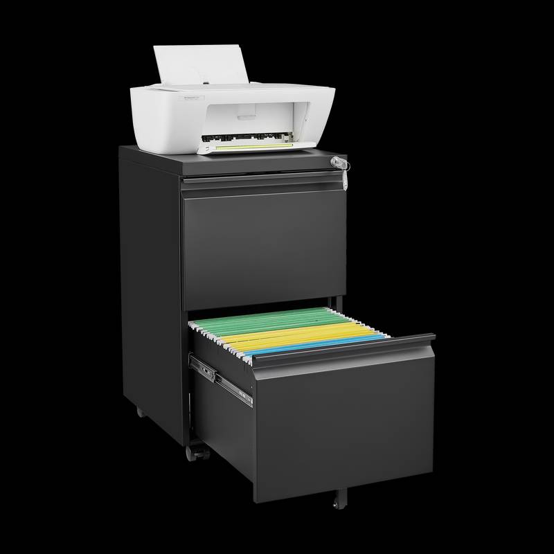 Secure Rolling File Cabinet for Home Office