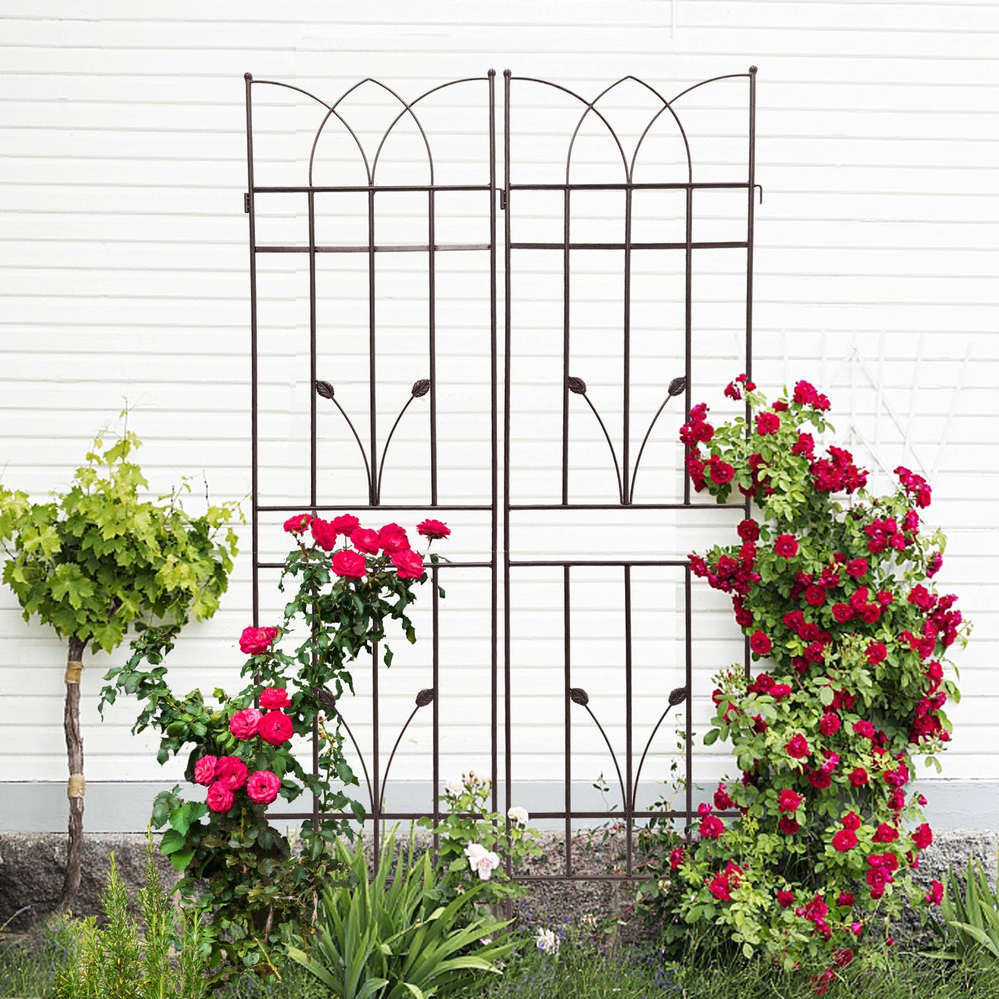 Rustproof Garden Trellis Set for Climbing Plants