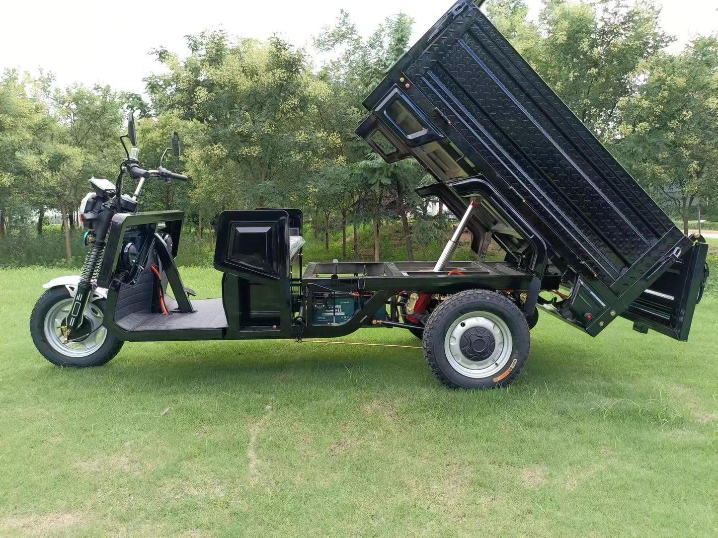 Hydraulic Lift Electric Trike