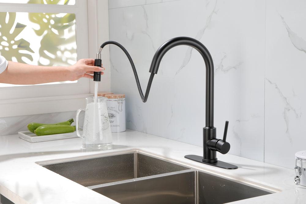 Spray & Splash Kitchen Faucet