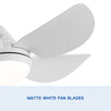 Bright Breeze Ceiling Fan with LED Light