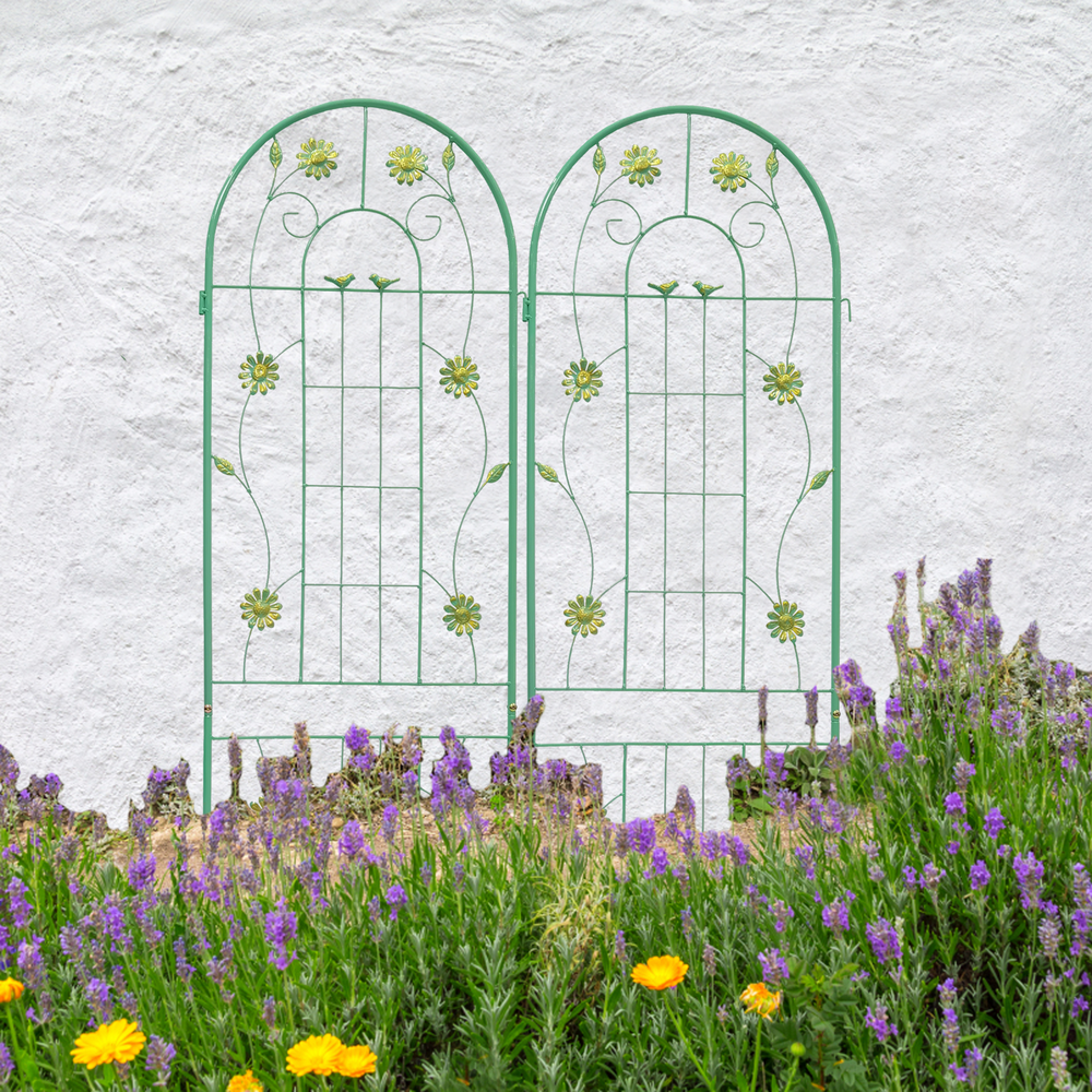 Rustproof Garden Trellis Duo for Climbing Plants