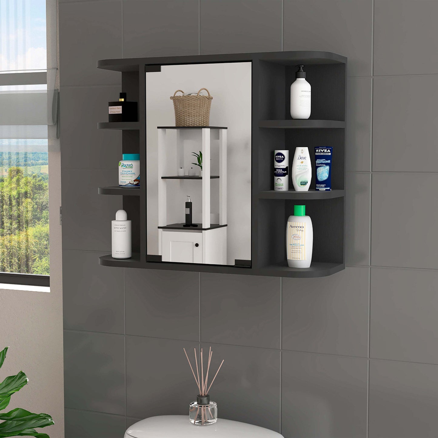 Valdez Mirror Medicine Cabinet