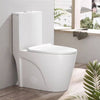 Sleek Dual Flush One-Piece Toilet with Soft-Close Seat