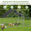 Ultimate Outdoor Chicken & Rabbit Coop