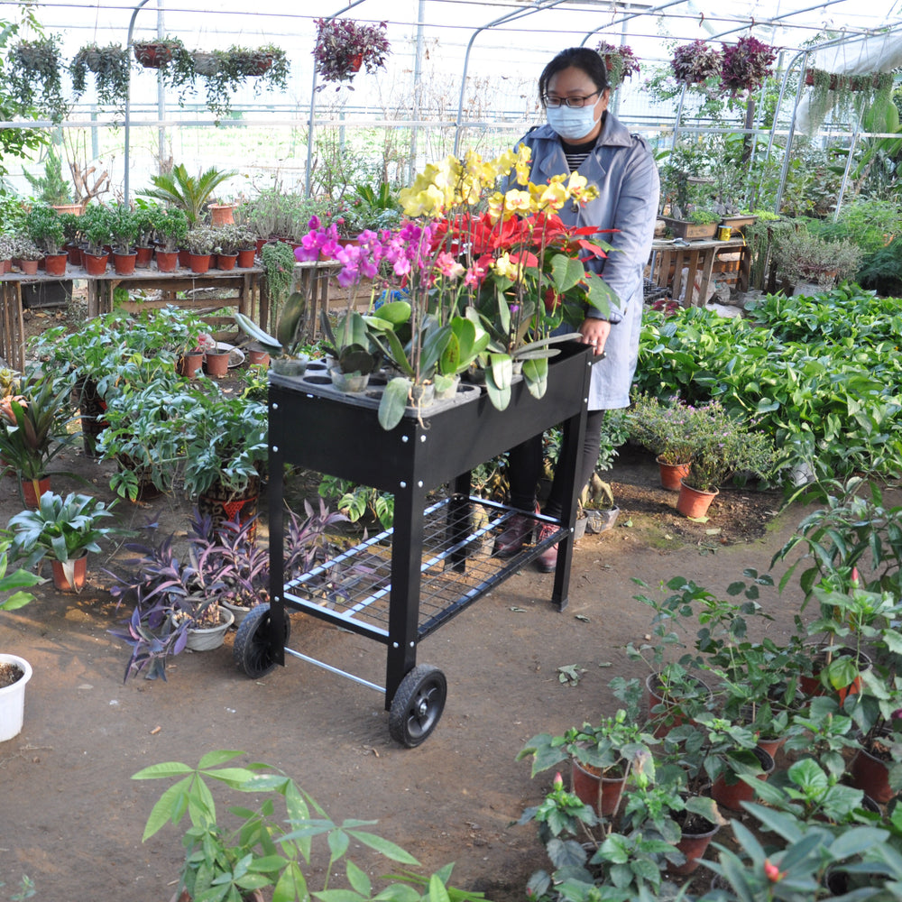 Garden Cart Planter with Wheels - Mobile Elevated Bed for Herbs & Veggies