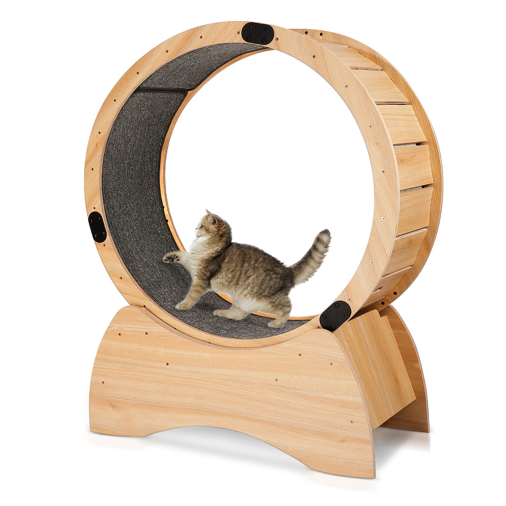 Kitty Fitness Wheel: Fun Treadmill for Active Cats!