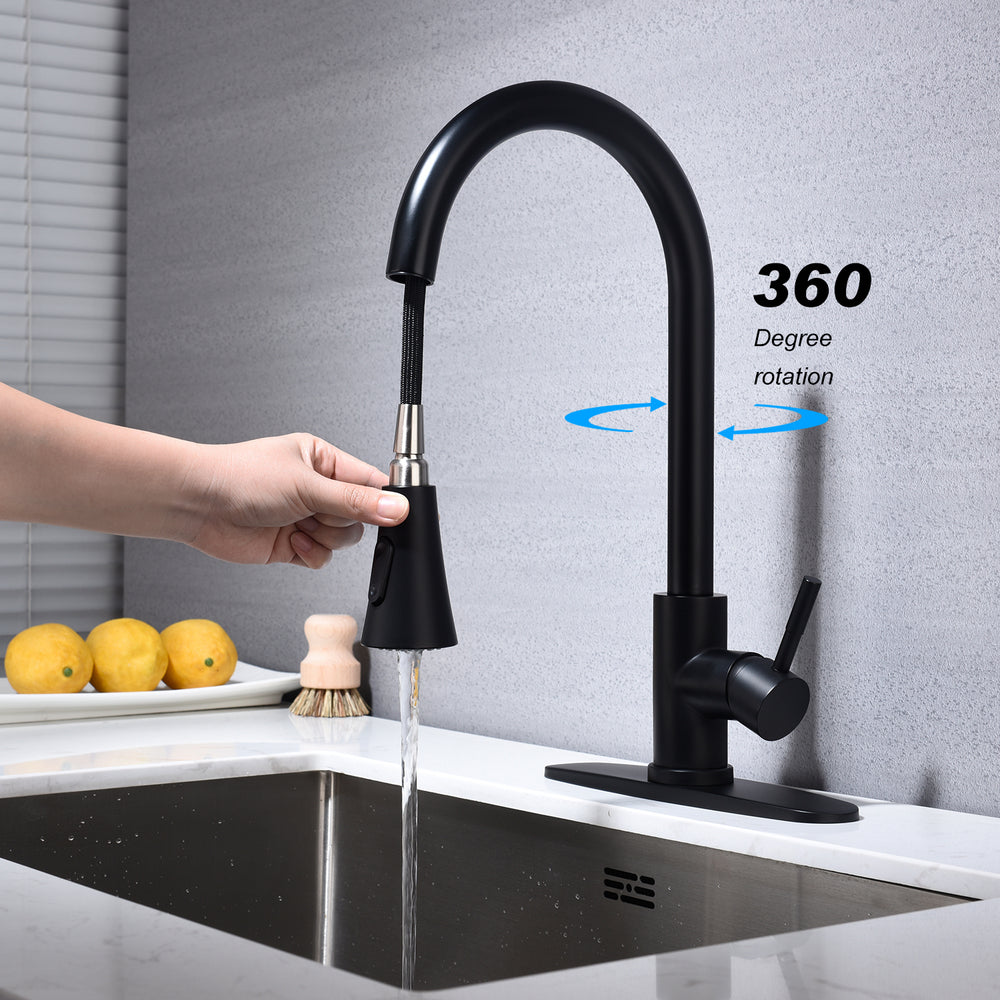 Swipe & Spray Kitchen Faucet