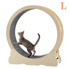 Happy Paws Cat Treadmill - Fun & Safe Indoor Exercise Wheel for Active Cats