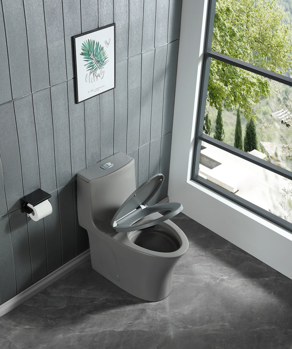 EcoFlush Comfort Toilet