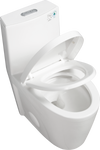 Eco-Friendly Comfort Toilet with Soft Close Seat