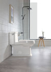 Sleek Comfort Elongated Toilet with Soft Close Seat