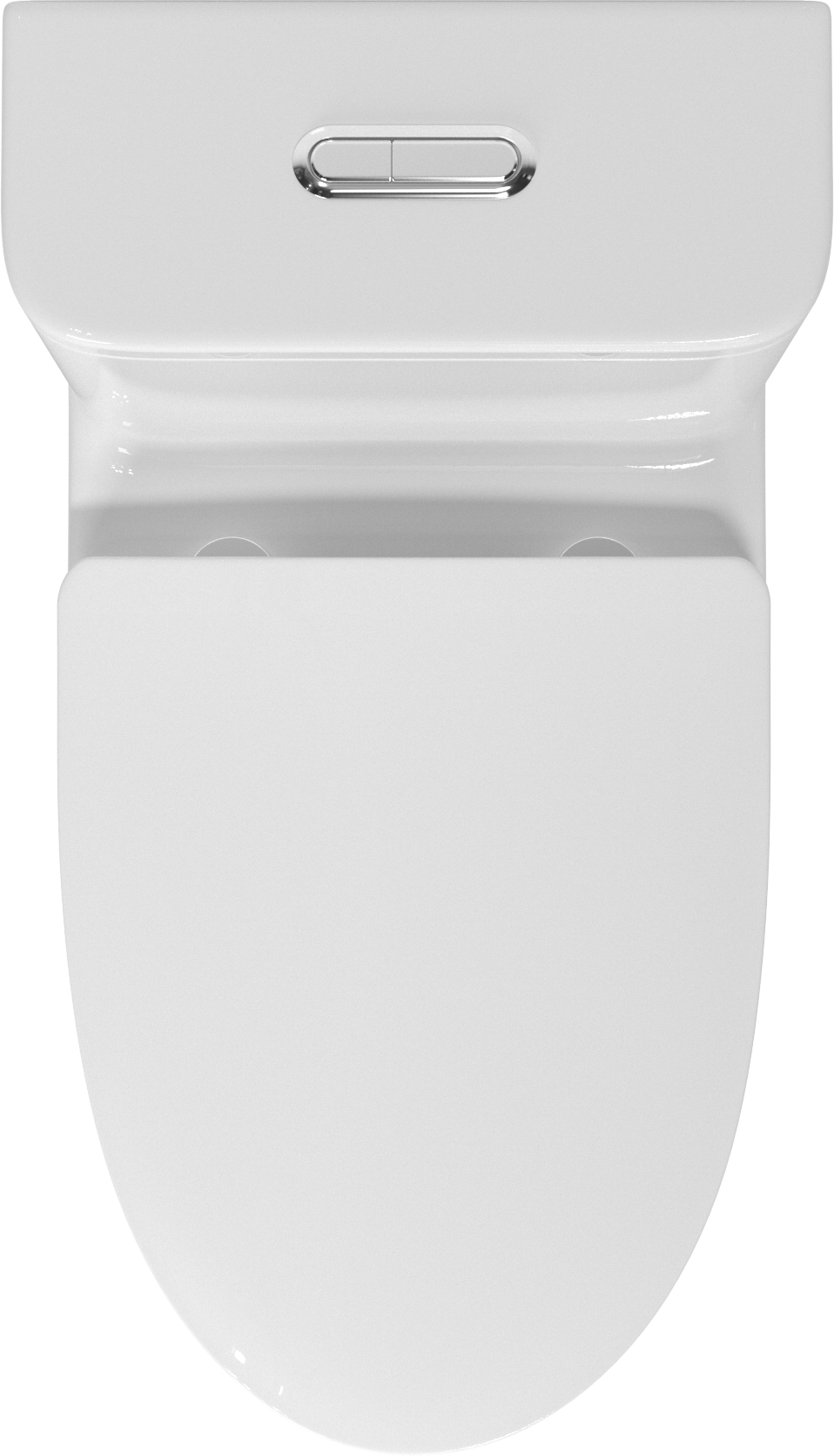 Premium One-Piece Toilet with Top Accessories