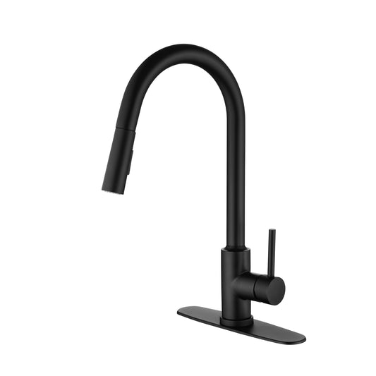 Spray & Splash Kitchen Faucet