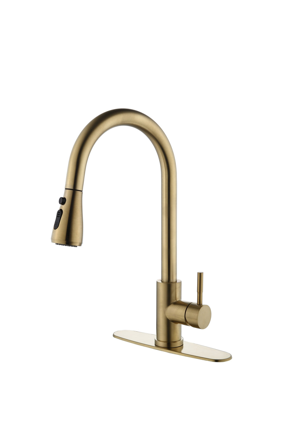 Spray & Shine Kitchen Faucet