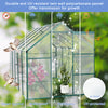 Sturdy Walk-In Greenhouse for All Seasons