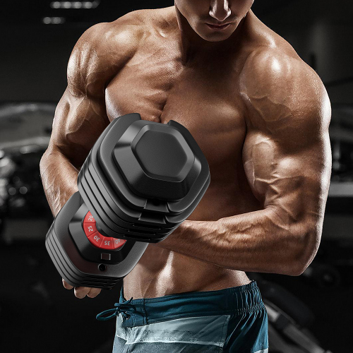 Versatile Adjustable Dumbbells for Full Body Workouts